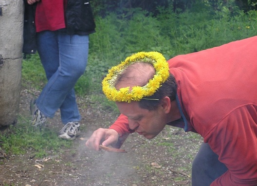 Fotografie