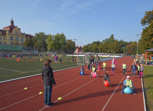 STADION MLÁDÍ / STADION KARLA HEIDENREICHA